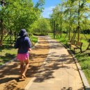 아라공원 이미지