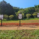 통영시 추모공원 이미지