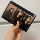 [포토콤마] photocomma 서울숲점 후기 📸