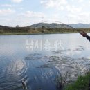 옥과 무창 이미지