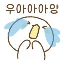 저스트잉글리쉬영어교습소