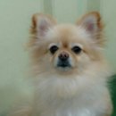 샐리동물병원 이미지