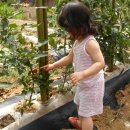 예린농장 이미지