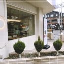 샤브드림 이미지