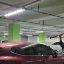 와일드출장세차삼가점 | 광교 출장세차 후기 / 손세차 잘하는 와일드출장세차