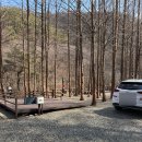 양평충전소 | 서울 근교 양평 스테이네이처 캠핑장 추천, D사이트 후기