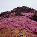 사뿐이즈려밟고