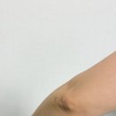 내모메는 이미지