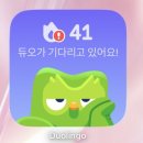 (12/16) 평생학습주간_보석비누 만들기 | [내돈내산] 무료 영어공부 앱 추천 ㅣ 듀오링고 솔직 후기•가격•저렴하게 이용하는 꿀팁