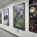 박프로골프아카데미 이미지