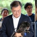 퍼스트독 이미지