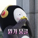 2026 국제어린이마라톤 후기— 달리는 것만으로 세상 어딘가의 아이를 돕는 마라톤 후기