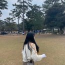 안도트 | 오사카 교토 여행에서 기모노 체험 대여 정보, 나라 사슴공원까지 오사카 2박 3일 자유여행 일정