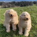 바다보기 이미지