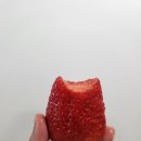 킹스베리 | 37주 임산부 간식 추천｜논산 킹스베리 후기 + 일반 딸기와 차이 (가격, 맛 총정리)