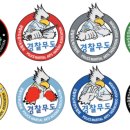 세계격투기연맹