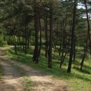 만산농장 이미지