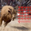 러프버거 이미지