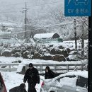 빵귤맨숀 이미지