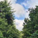 왕산골숲속 이미지