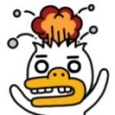 해안도로캠핑 이미지