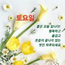토요일 이미지