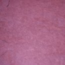 화랑근린공원 이미지