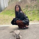 쓰담 이미지
