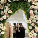 머스트윈 복싱 이미지