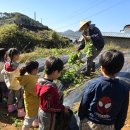 학이유치원 이미지