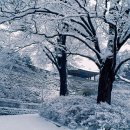 (여행) 크리스마스에 이곳만 한 게 없지. 겨울 풍경 보며 걷고 싶은 서울 근교 여행지 이미지