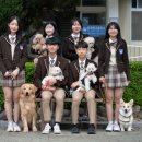 고등학교 이미지