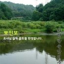 당지 이미지
