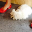 미스터토리 이미지