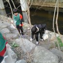 효승태권도 이미지