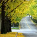 한적2길 이미지