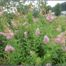 경기옛길 의주길 제3길 쌍미륵길 이미지