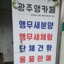 광주앵카페 이미지