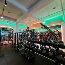 드래곤짐 이미지