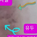 이화벨라여성의원 이미지