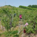 지품면사무소 이미지