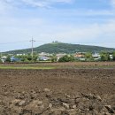 상모리-30 이미지