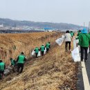 숭릉천 시민일보