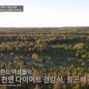 98푸드 티스토리