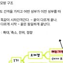 서양음악사 중세, 르네상스 관련 질문하겠습니다. 이미지