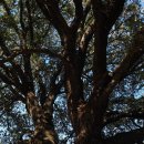 소중한eye 이미지