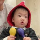 딩동댕 플레이 키즈스쿨(8~14개월) 이미지