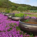 포천한탄강하늘다리 이미지