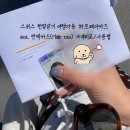 스위스장 네이버블로그