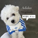 엠에스펫마트 | 아디다스 오리지널스 펫 캘리티셔츠 M 후기